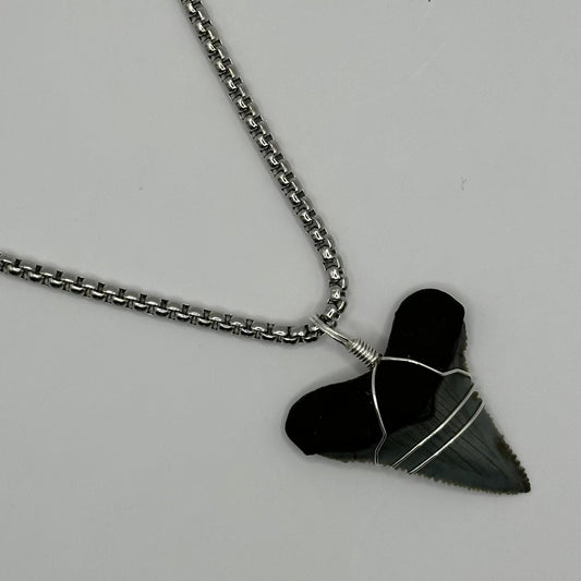 Shark Tooth on Silver Small Box Chain Necklace