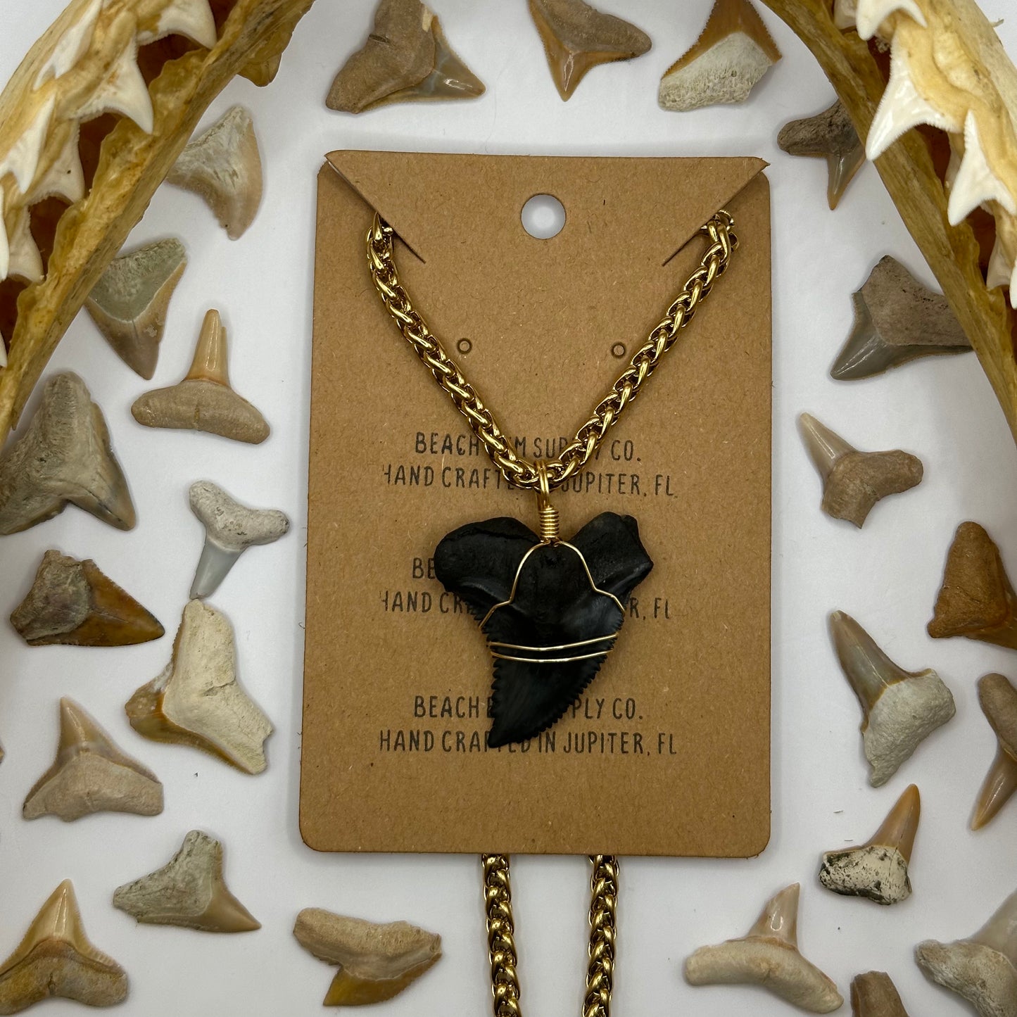 Shark Tooth on Gold Chain-mail Necklace