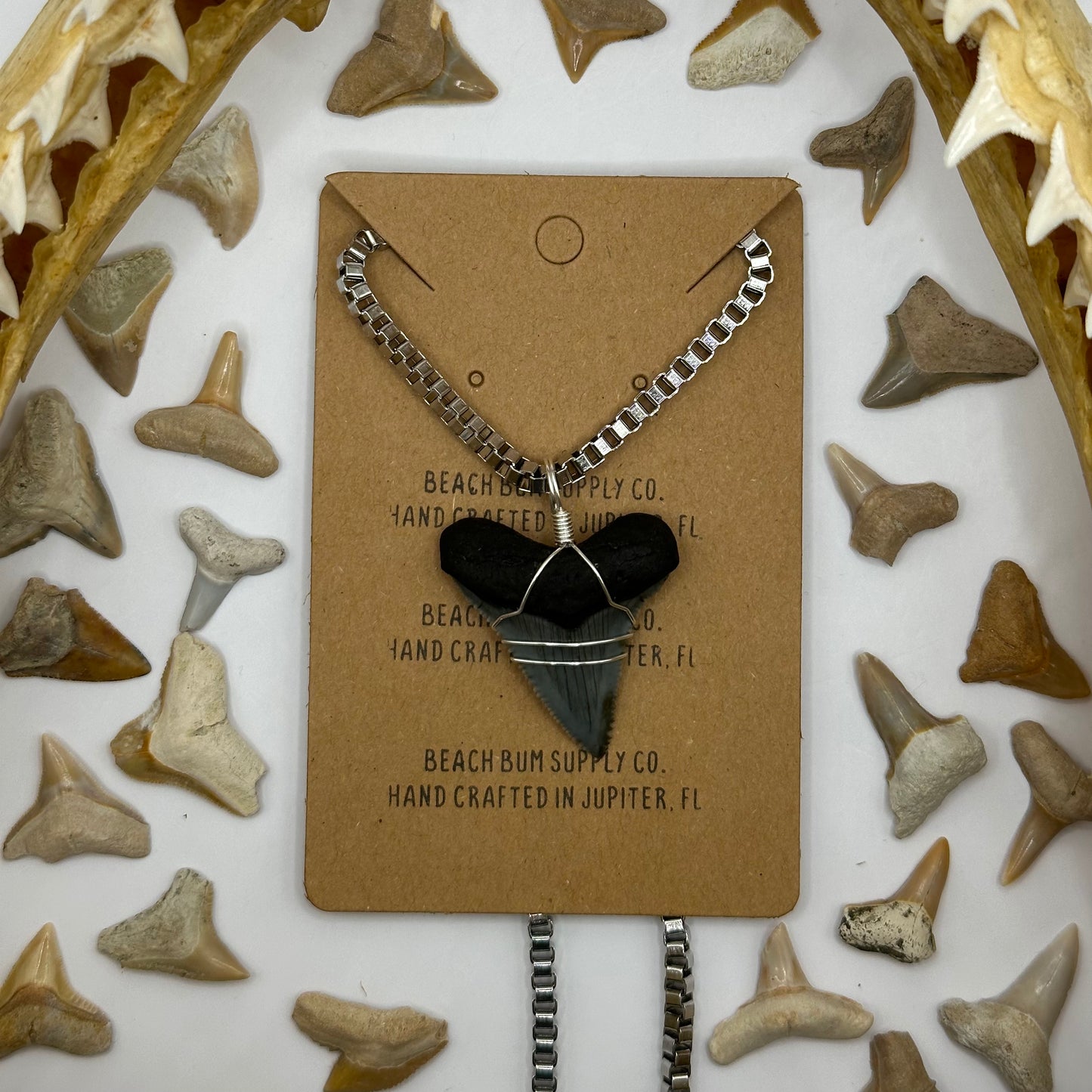 Shark Tooth on Silver Box Chain Necklace