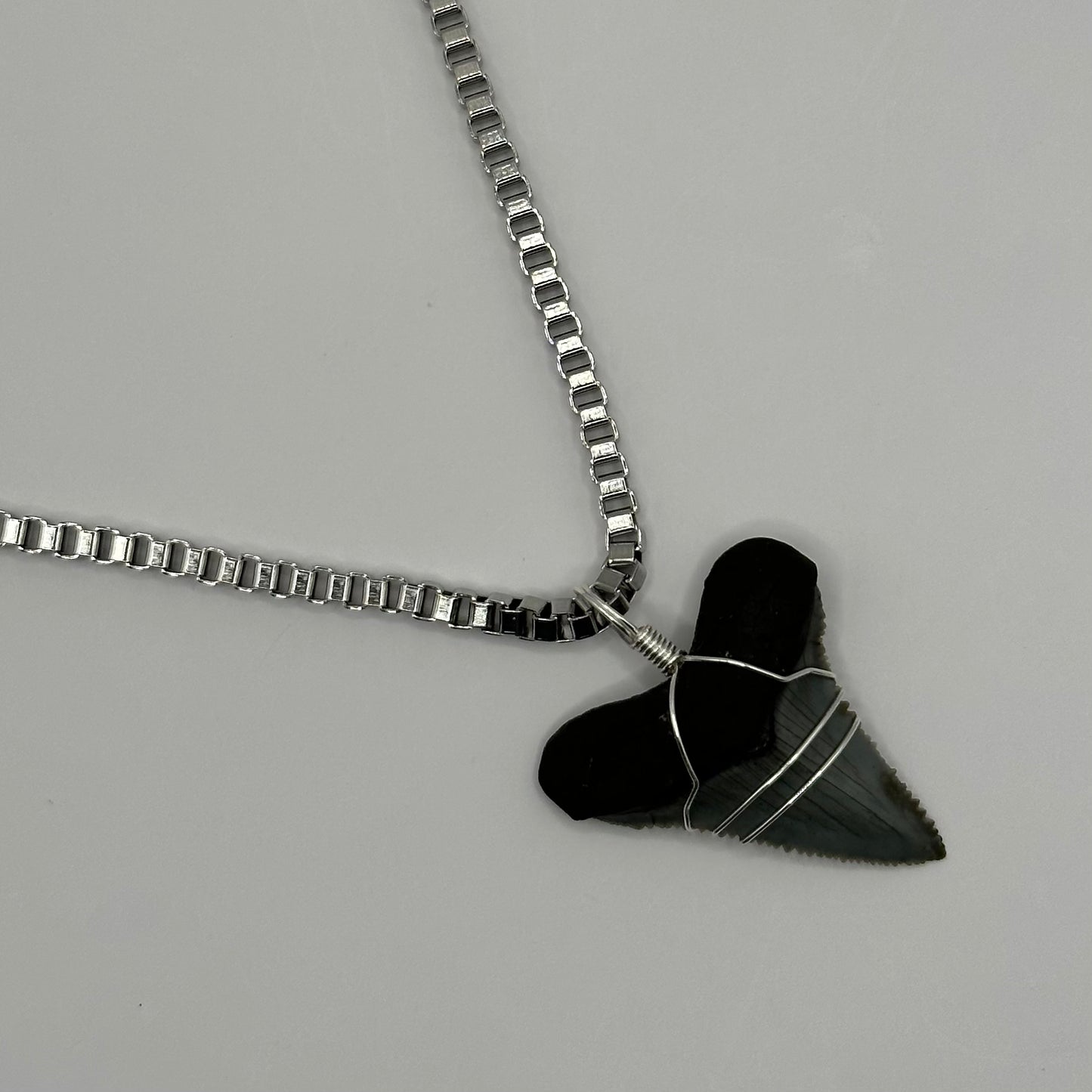 Shark Tooth on Silver Box Chain Necklace