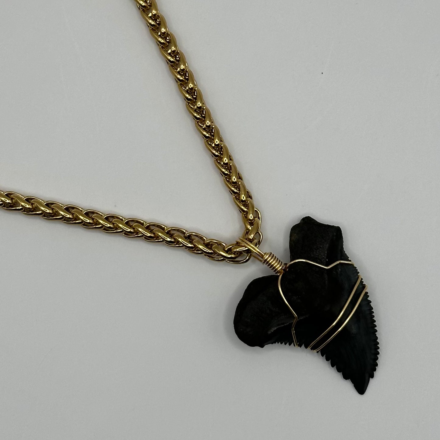 Shark Tooth on Gold Chain-mail Necklace