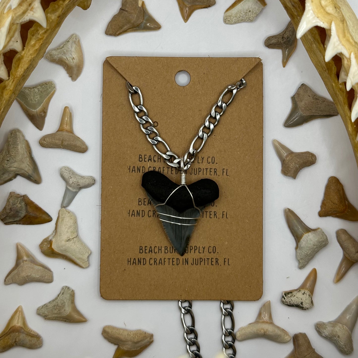 Shark Tooth on Silver Figaro Chain Necklace