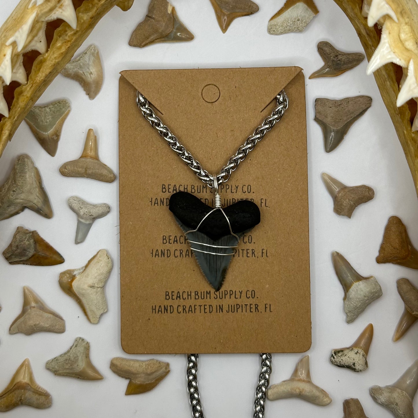 Shark Tooth on Silver Chain-mail Necklace