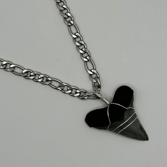 Shark Tooth on Silver Figaro Chain Necklace