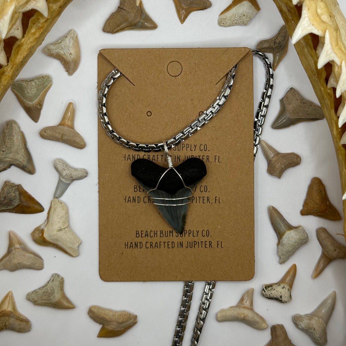 Shark Tooth on Silver Zip Chain Necklace