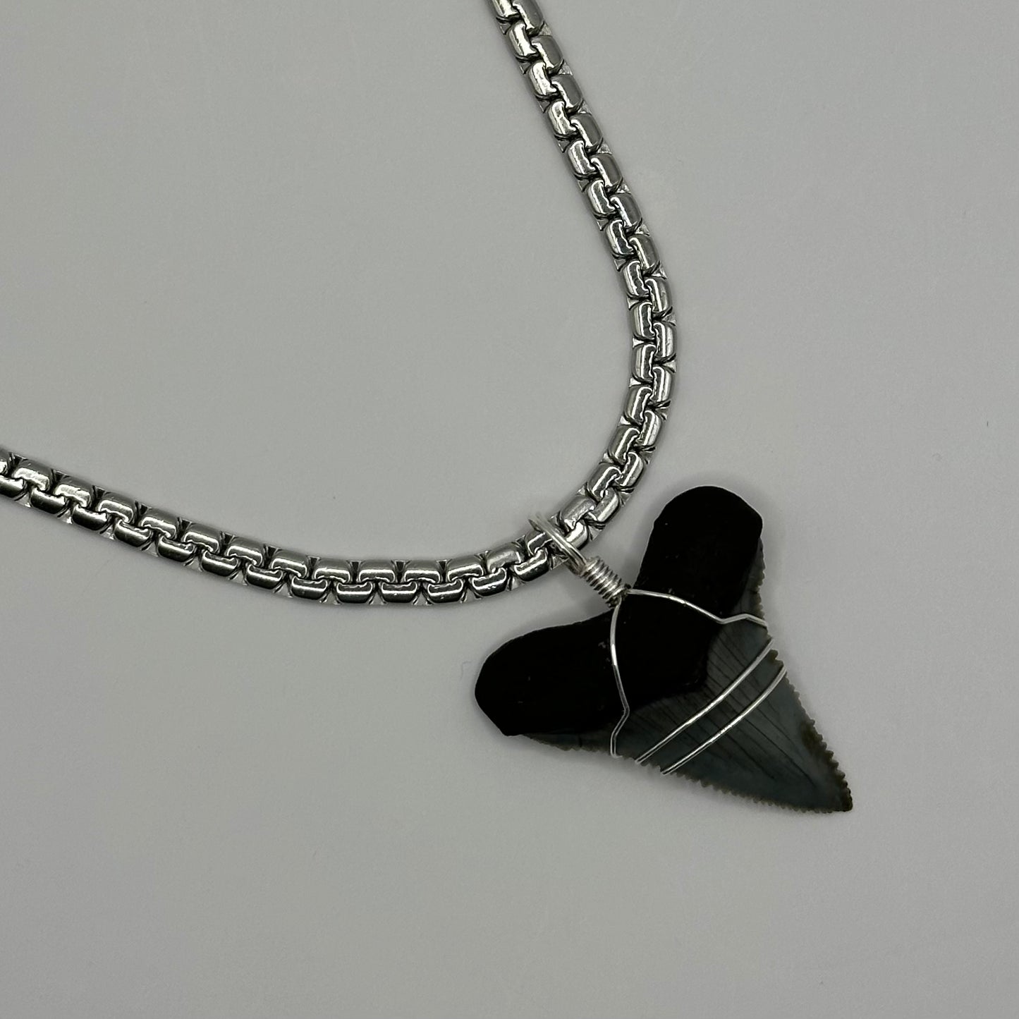 Shark Tooth on Silver Zip Chain Necklace