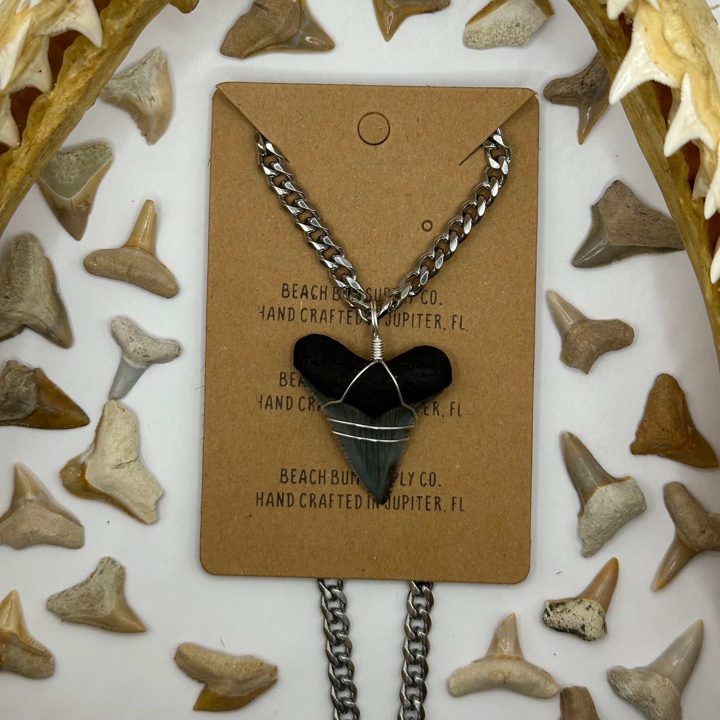 Shark Tooth on Silver Cuban Curb Chain Necklace