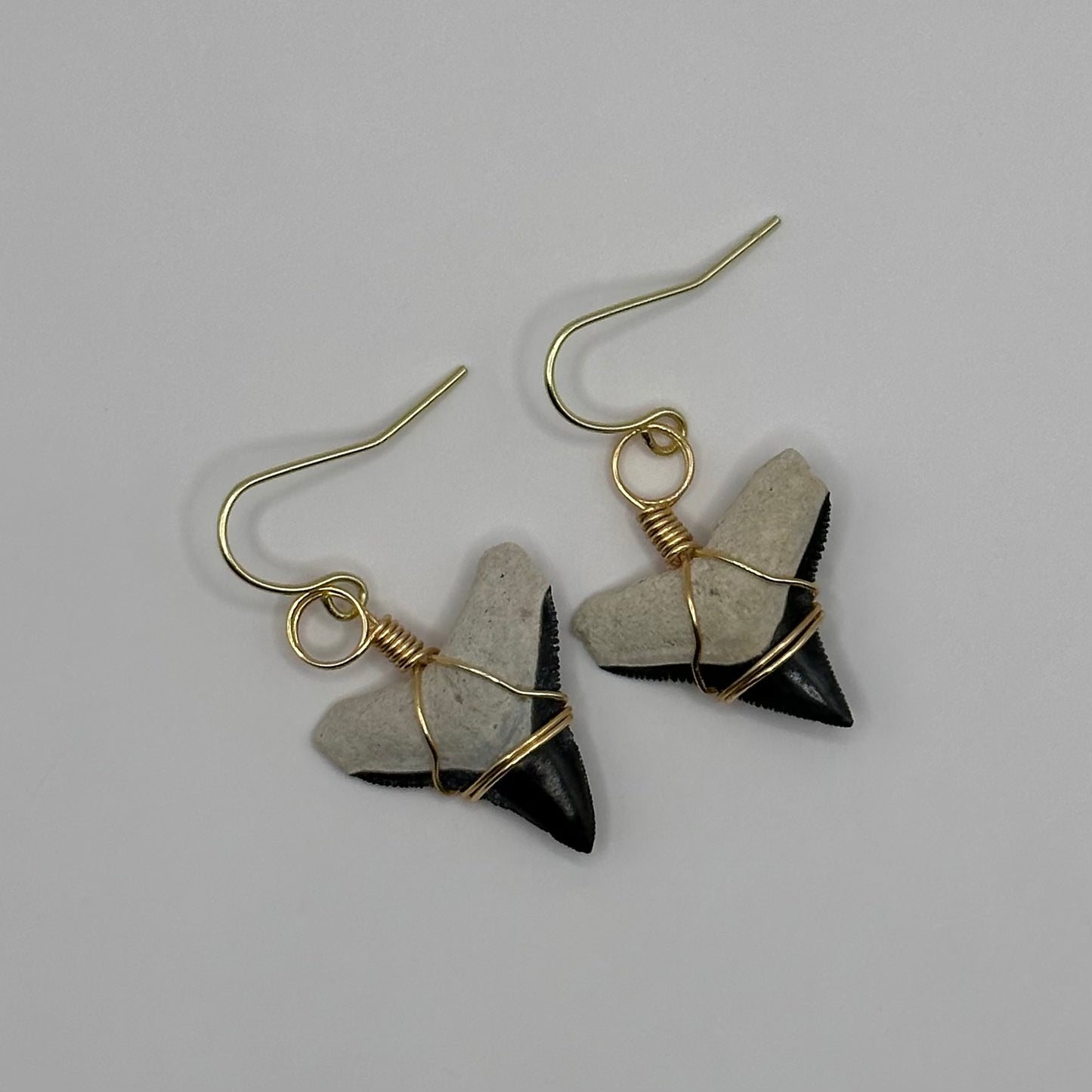 Shark Tooth Dangling Earrings wrapped in gold