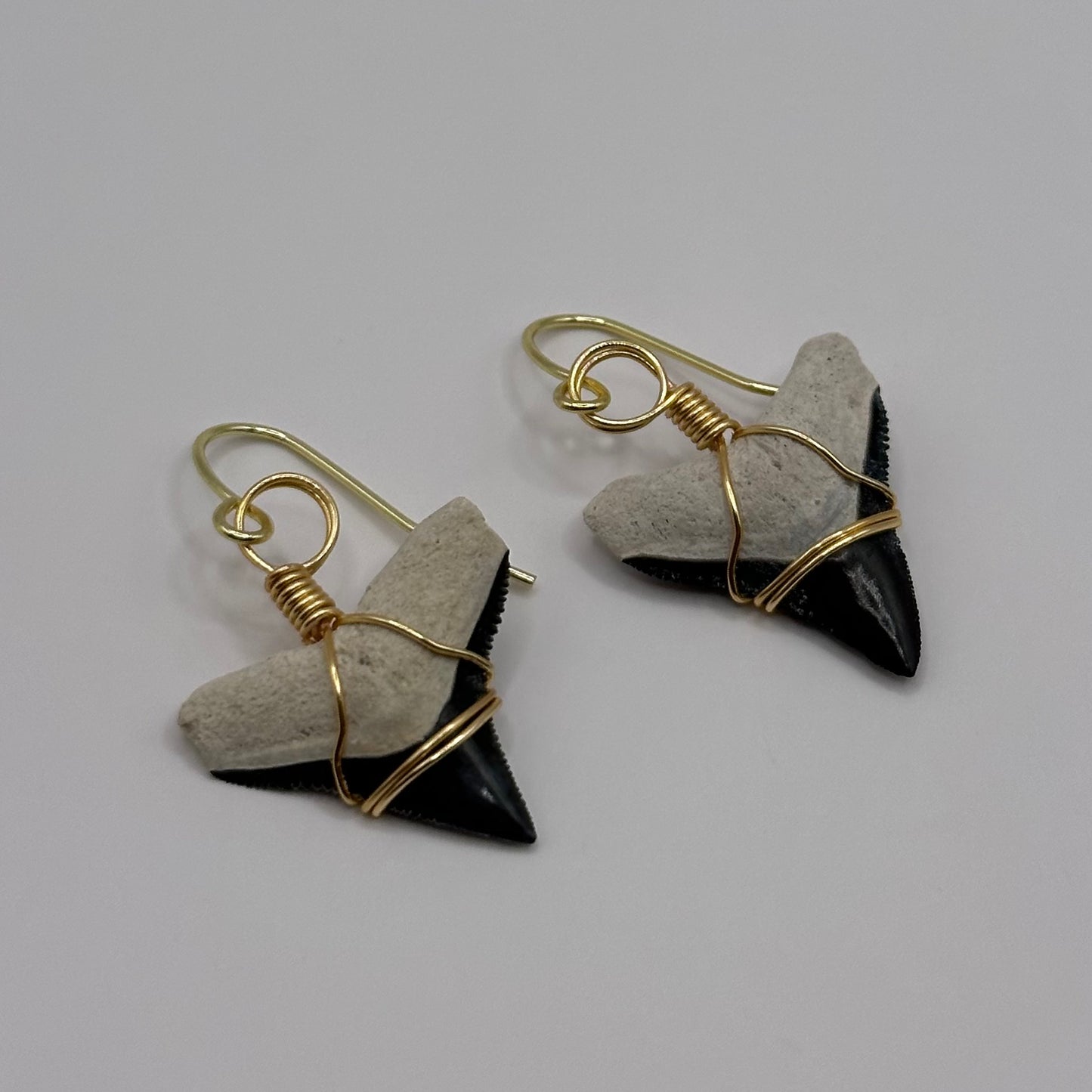 Shark Tooth Dangling Earrings wrapped in gold