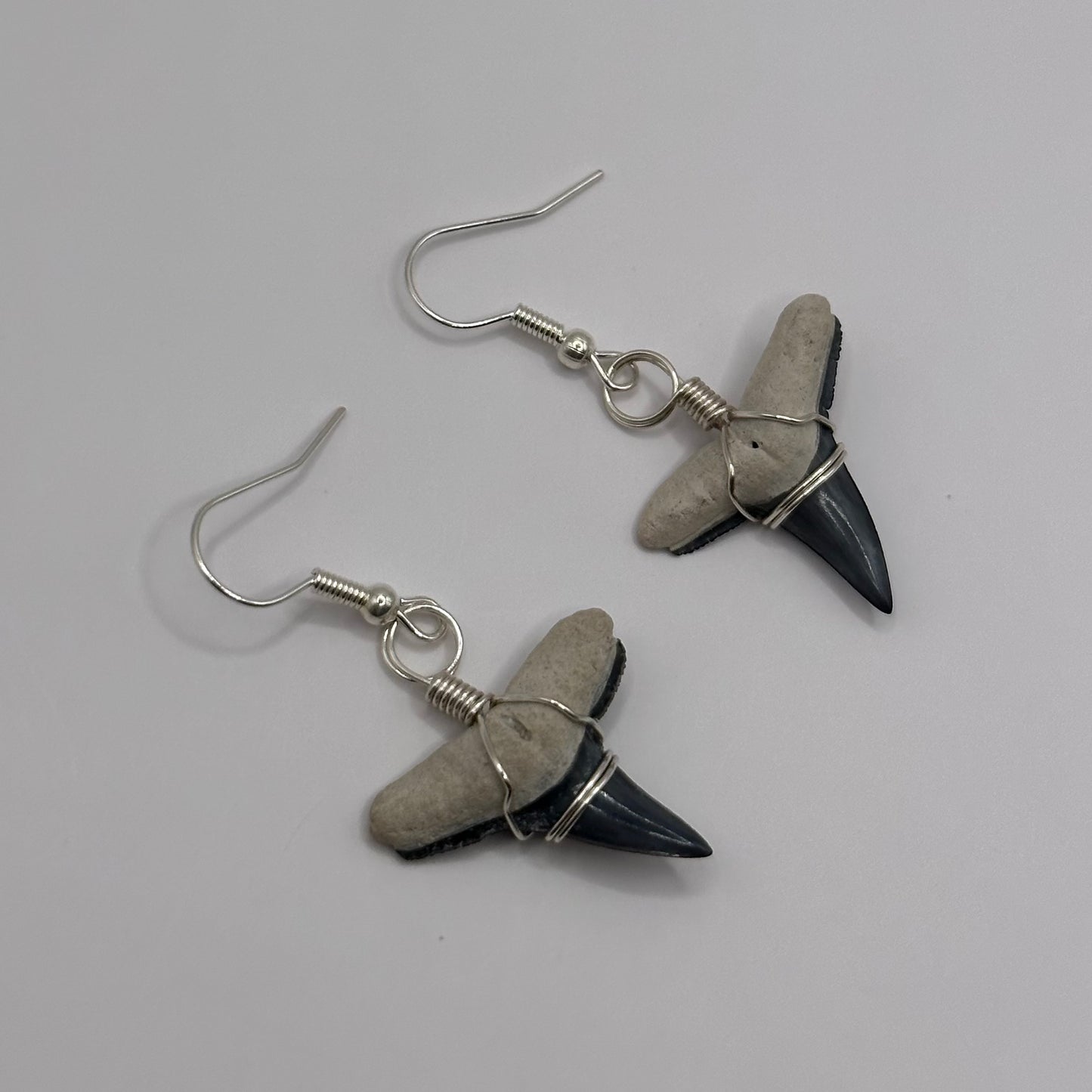 Shark Tooth Dangling Earrings wrapped in silver