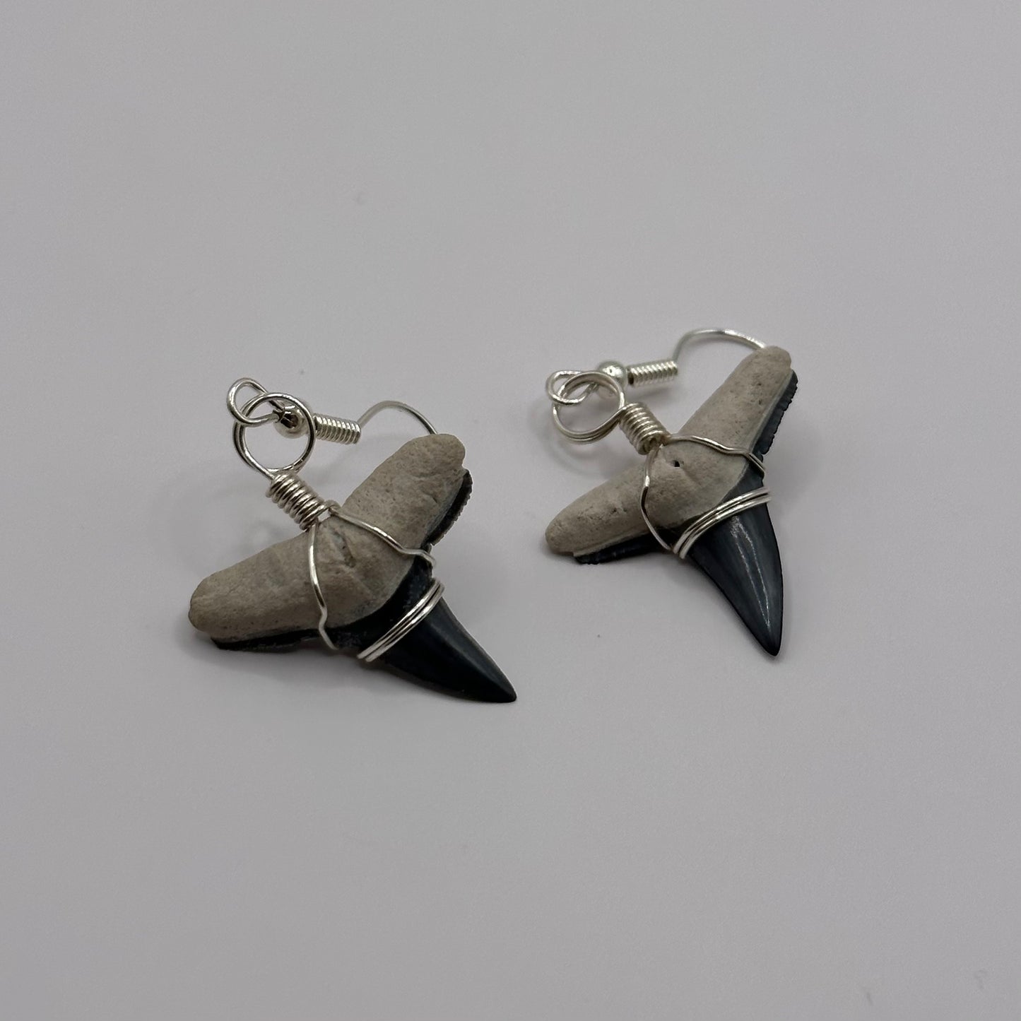 Shark Tooth Dangling Earrings wrapped in silver