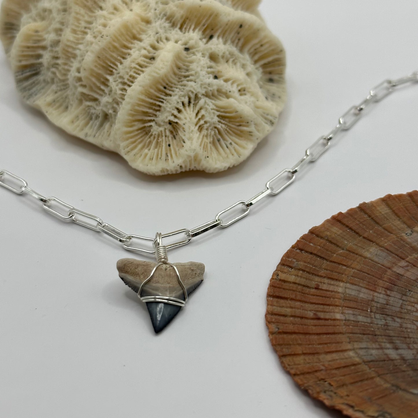 Shark Tooth on Silver Oval Link Chain Necklace