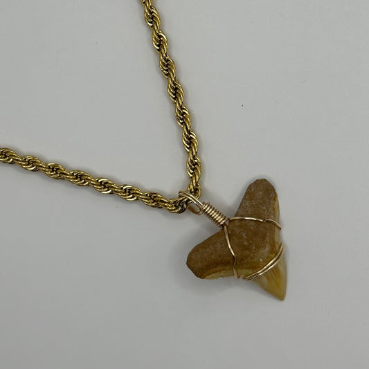 Shark Tooth on Gold Twist Rope Chain Necklace