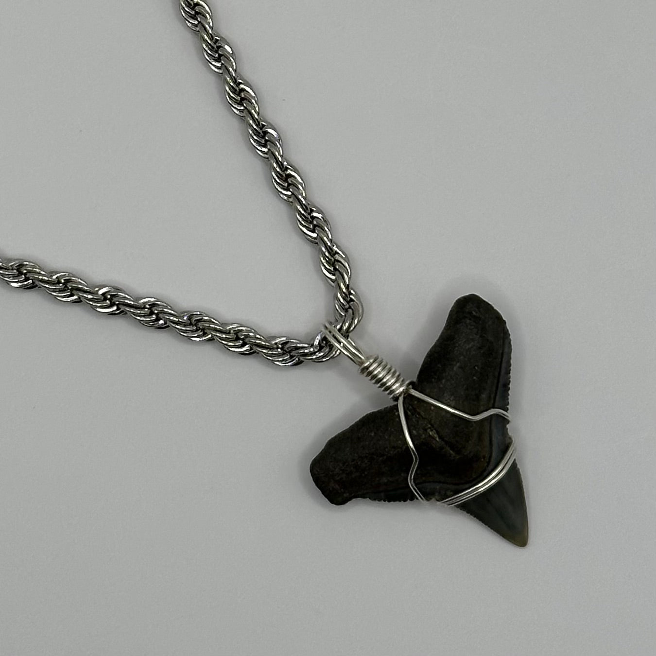 Shark Tooth on Silver Twist Rope Chain Necklace