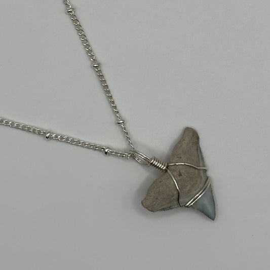 Shark Tooth on Silver Dot Link Chain Necklace