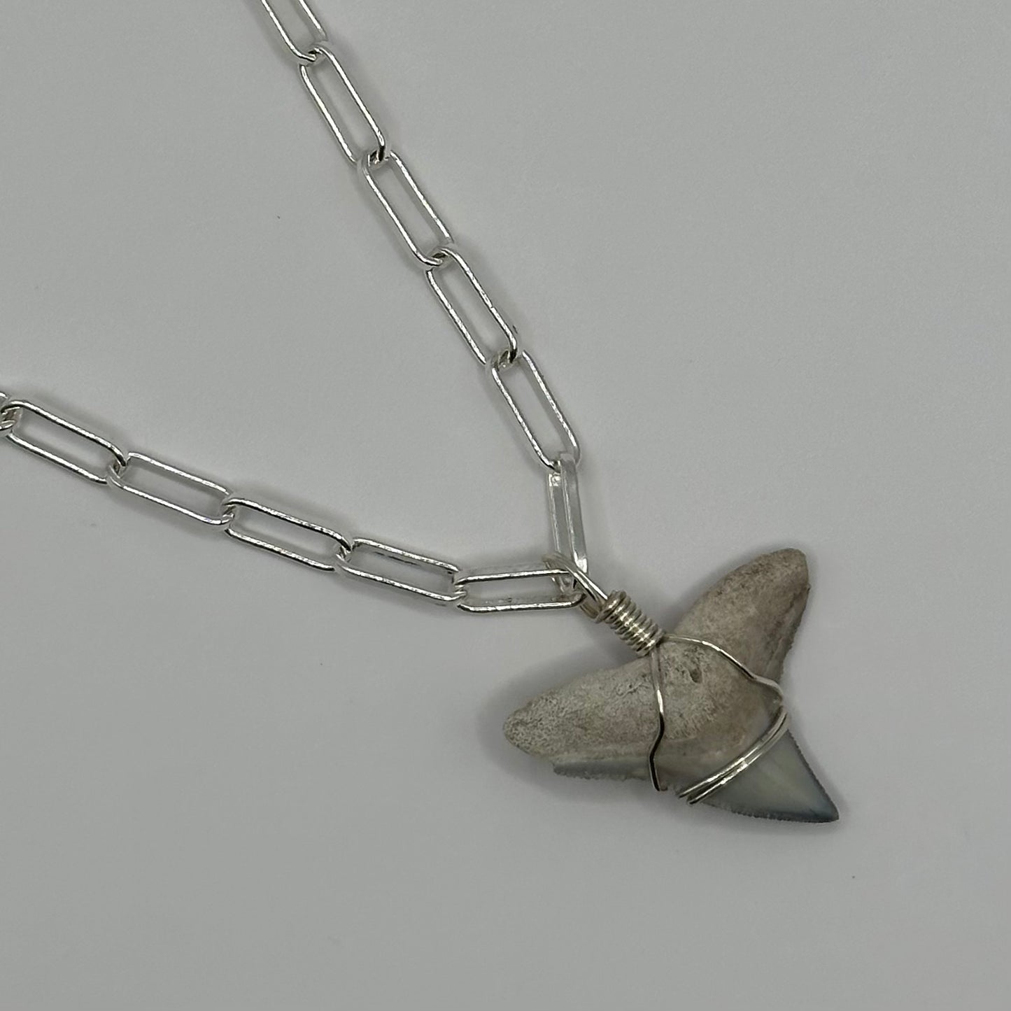 Shark Tooth on Silver Oval Link Chain Necklace