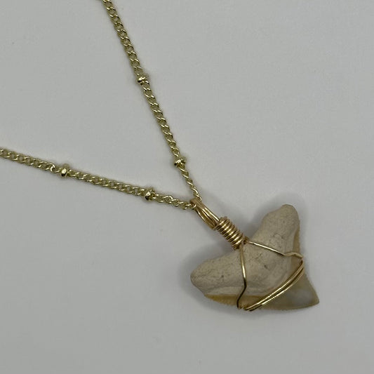 Shark Tooth on Gold Dot Link Chain Necklace