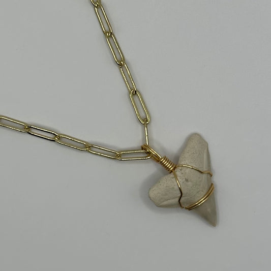 Shark Tooth on Gold Oval Link Chain Necklace