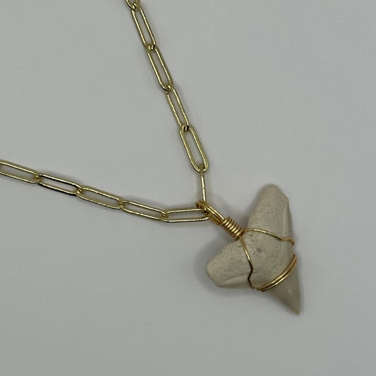 (CUSTOM) Shark Tooth on Gold Oval Link Chain Necklace