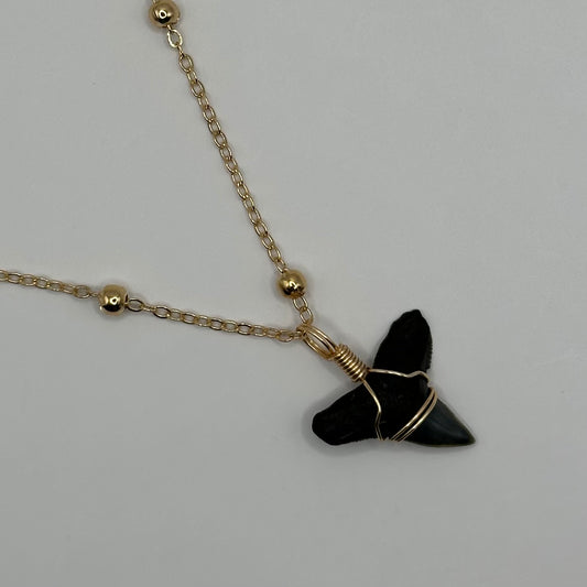 Shark Tooth on Gold Big Dot Link Chain Necklace