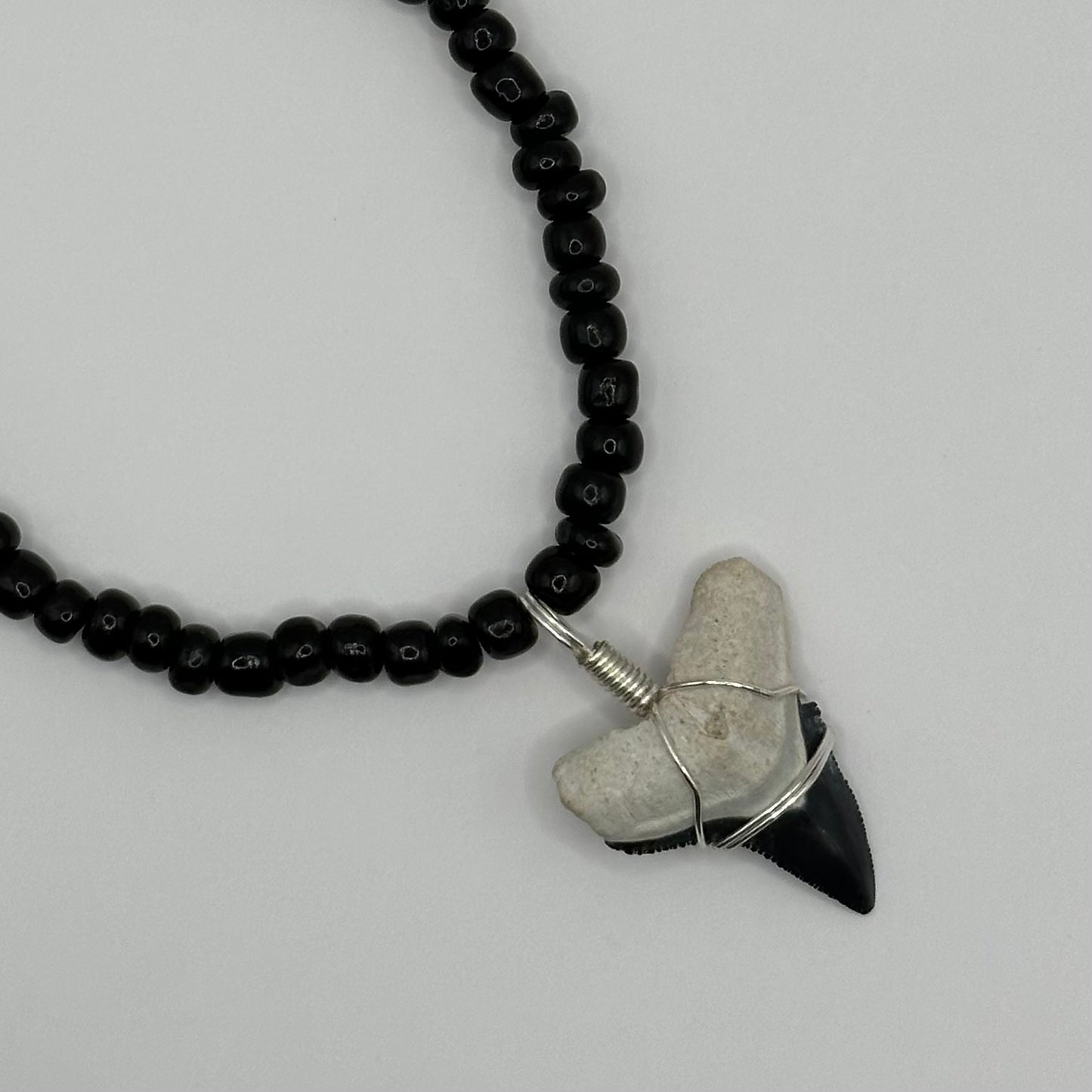 Shark Tooth on Black Beaded Necklace