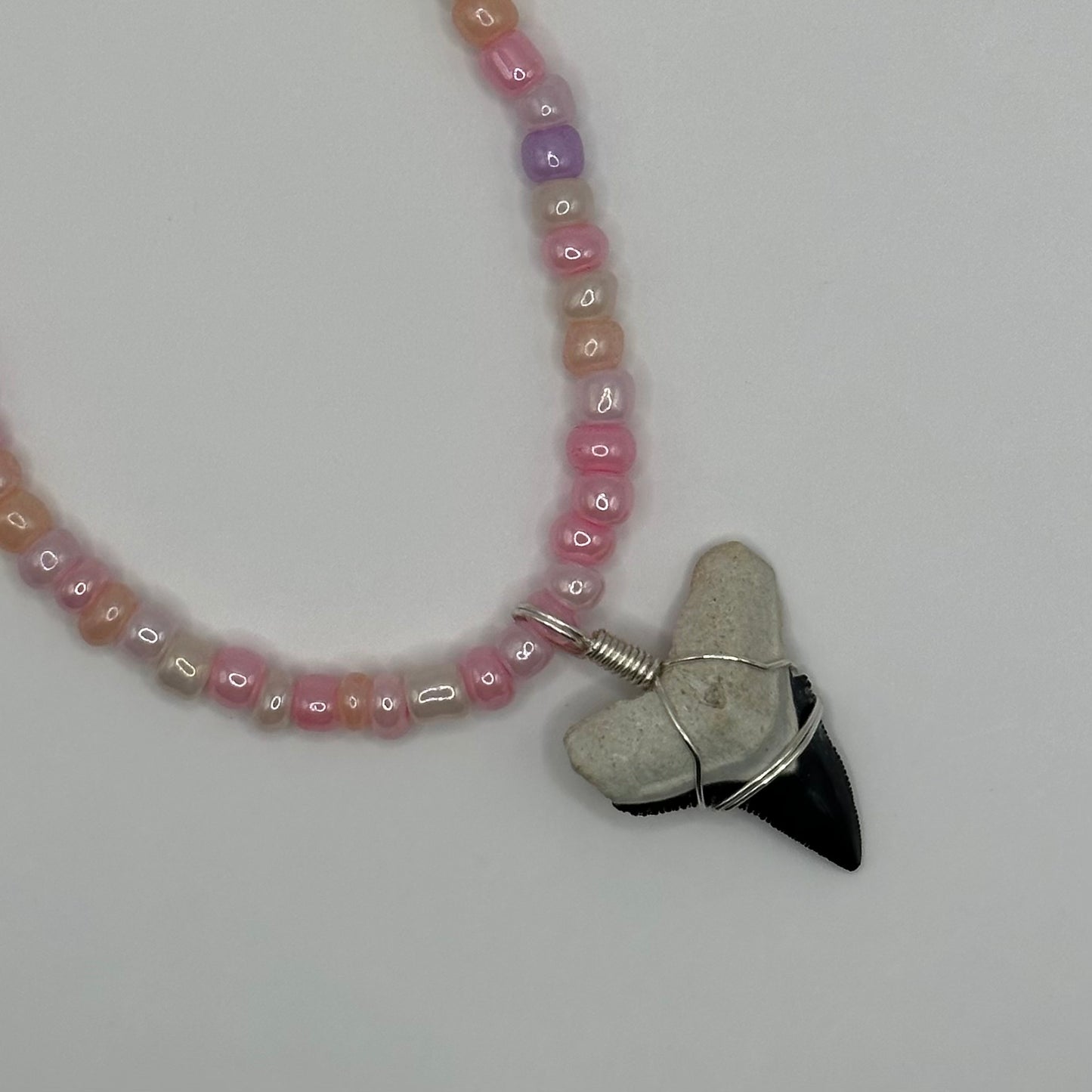 Shark Tooth on Pink Beaded Necklace