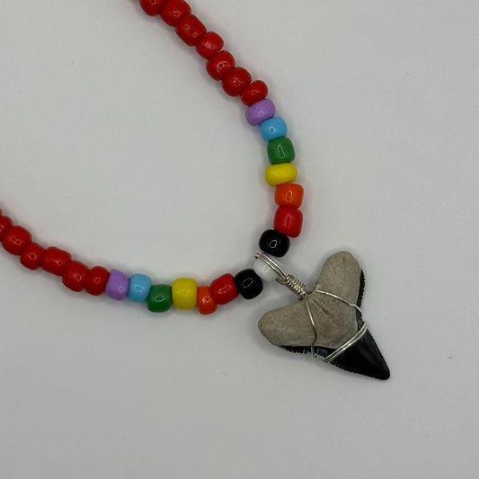 Shark Tooth on Red Colorful Beaded Necklace