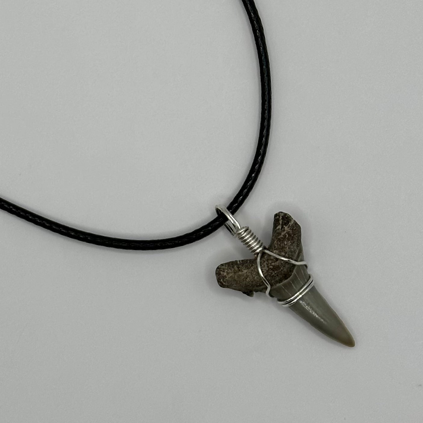 Shark Tooth on Black Leather Necklace