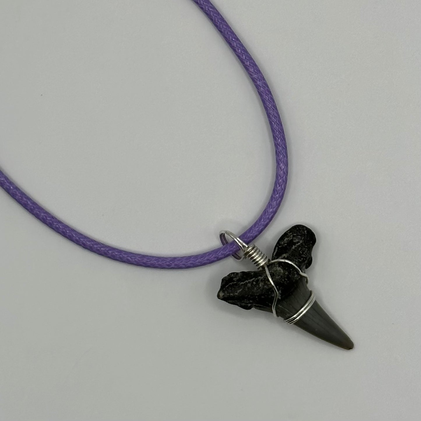 Shark Tooth on Purple Leather Necklace