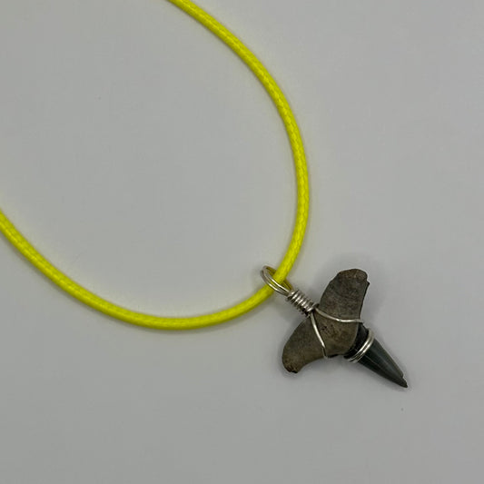 Shark Tooth on Yellow Leather Necklace