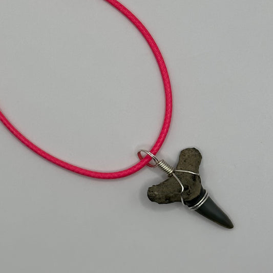 Shark Tooth on Pink Leather Necklace