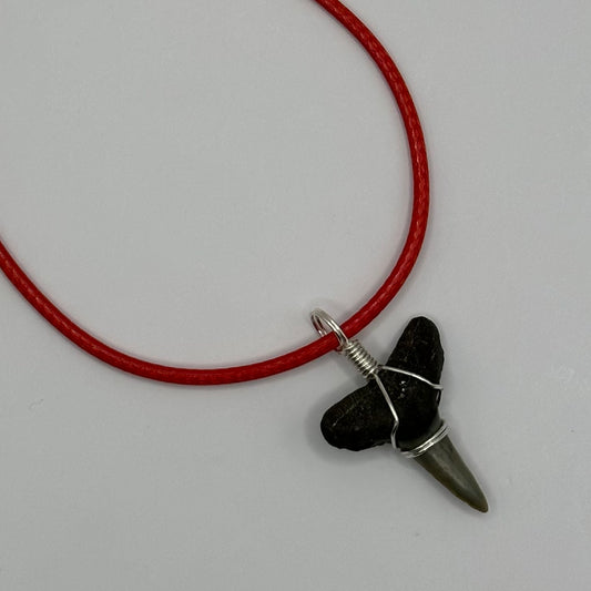 Shark Tooth on Light Red Leather Necklace