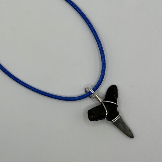 Shark Tooth on Blue Leather Necklace