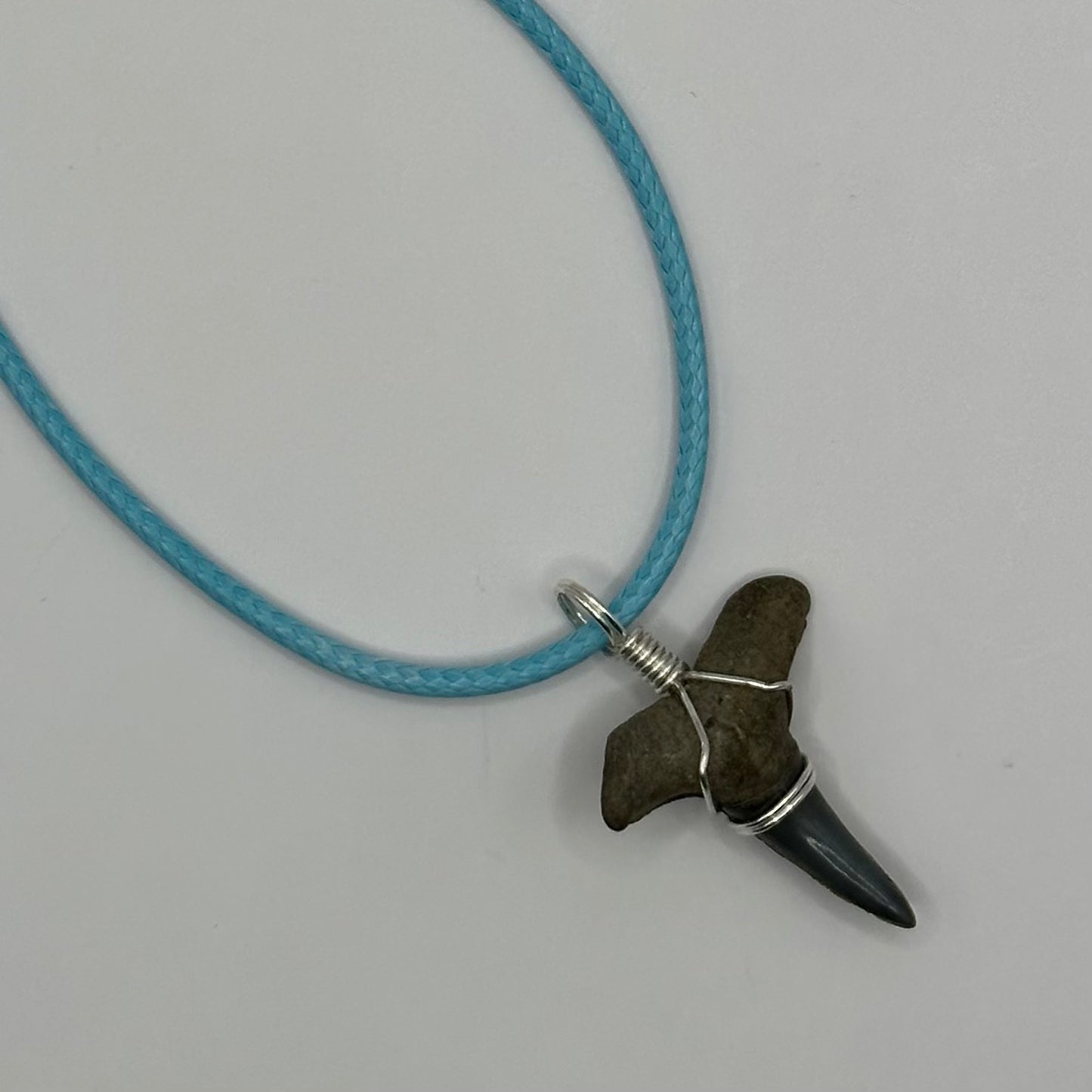 Shark Tooth on Light Blue Leather Necklace