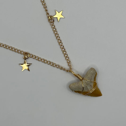 Shark Tooth on Gold Stars and Moons Chain Necklace