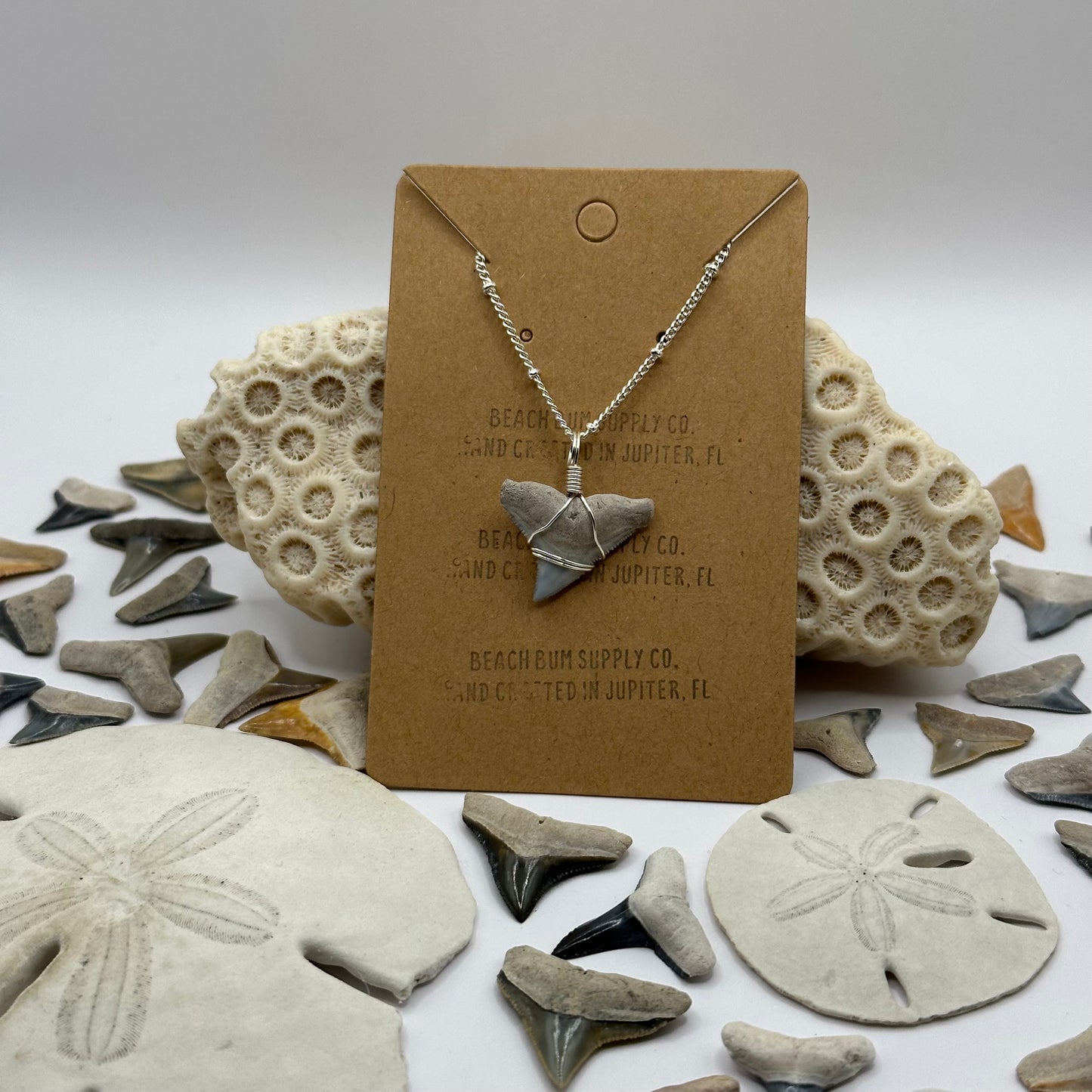 Shark Tooth on Silver Dot Link Chain Necklace