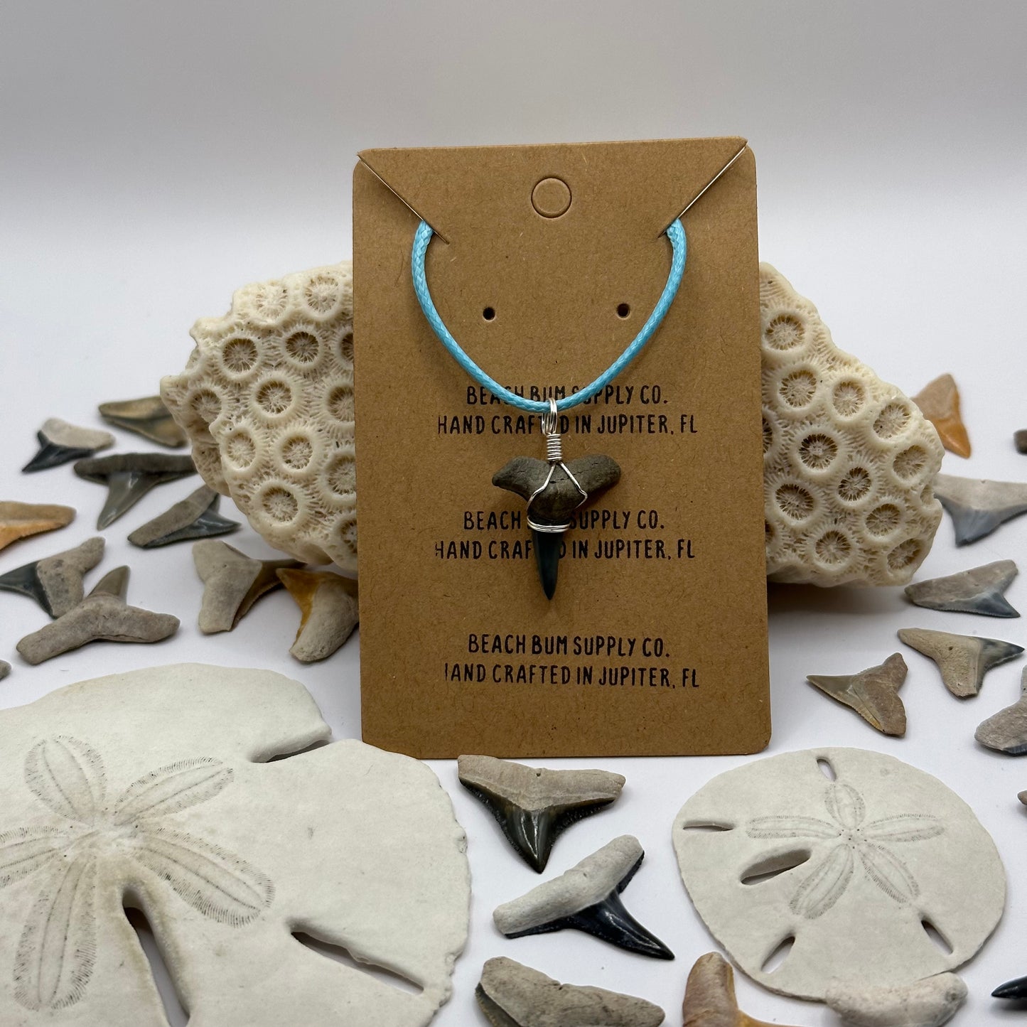 Shark Tooth on Light Blue Leather Necklace