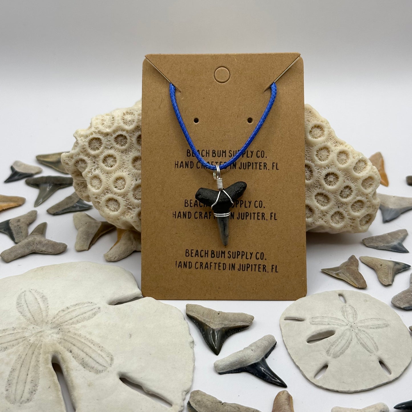 Shark Tooth on Blue Leather Necklace